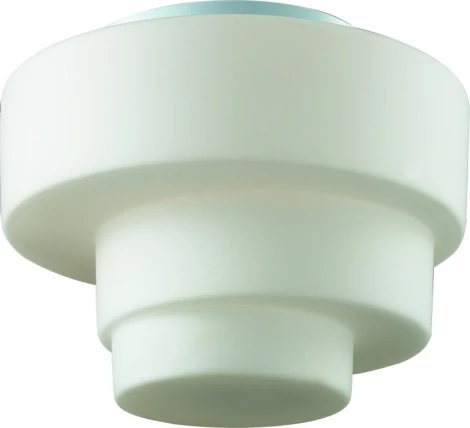 Настенно-потолочный светильник ST Luce Lumaca SL499.502.01