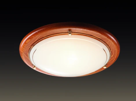 Настенно-потолочный светильник Sonex Riga 126