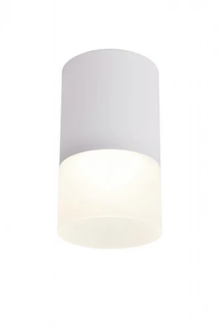 Накладной точечный светильник Omnilux 100 OML-100609-01 (220V, круглые)