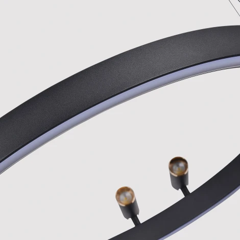 Подвесной светильник со спотами F-Promo Slinga 4474-2P (LED, 220V, на проводе, кольцо)