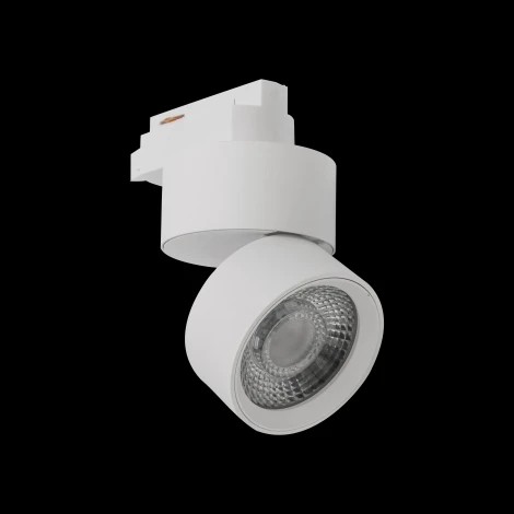 Трековый светильник Lumker RINK R-STR-WH-WW (LED, 220V, круглые, IP44)