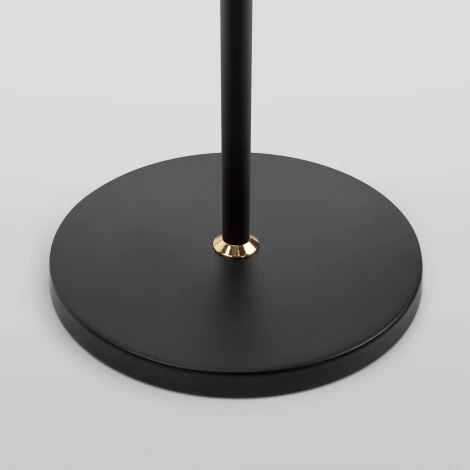 Торшер Eurosvet Joel 80430/1 черный/золото