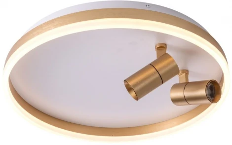Потолочный светильник круглый со спотами Zortes Raizy ZRS.1888.02 (LED, 220V, круглые)