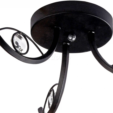 Потолочная люстра Silver Light Anjou 236.59.3