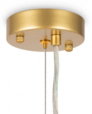 Подвесная люстра Florencia FR5049PL-27G Freya (220V, на тросе, лепестки, ветки)