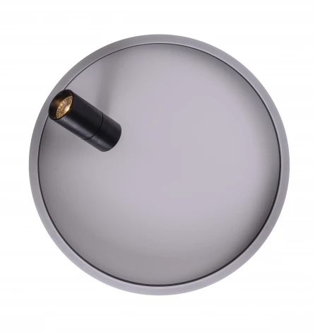 Потолочный светильник круглый со спотом Zortes Raizy ZRS.1888.03 (LED, 220V, круглые)