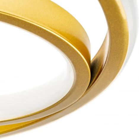 Потолочная люстра светодиодная с пультом Ritter 51654 9