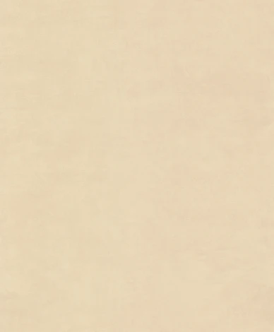 Обои виниловые Marburg Project 77715 10,05 x 0,53 м