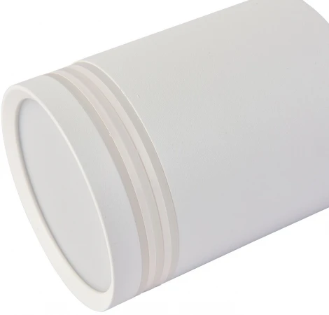 Точечный светильник накладной Favourite Darar 3065-1C (220V, круглые)