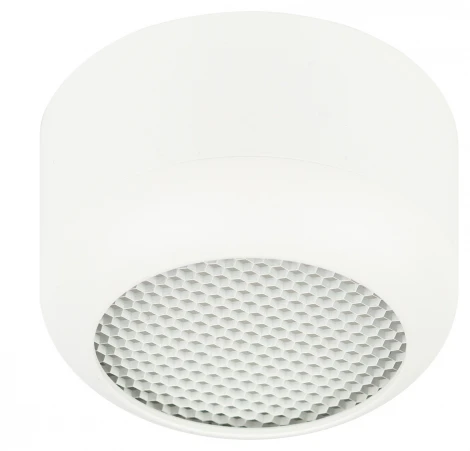 Точечный светильник ЭРА OL56 WH OL56 WH