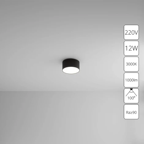 Потолочный светильник круглый светодиодный Arte Lamp Fado A7312PL-1BK (220V, круглые)