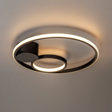 Потолочная люстра светодиодная с пультом Ritter 51655 6