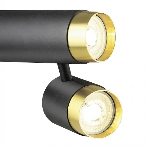 Спот Lumien Hall Sauris LH8020/2C-BK-GD