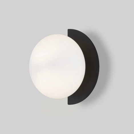 Настенный светильник Eurosvet Moity 70150/1 черный (220V, круглые)