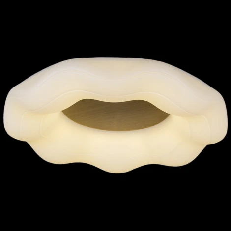 Потолочный светильник светодиодный с пультом Reluce 01029-0.3-01 WOOD (регулировка яркости, 220V)