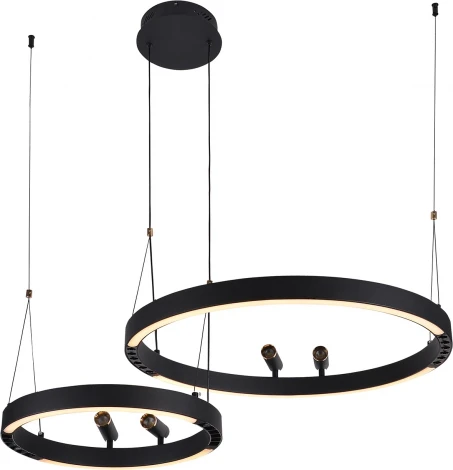 Подвесной светильник со спотами F-Promo Slinga 4474-2P (LED, 220V, на проводе, кольцо)