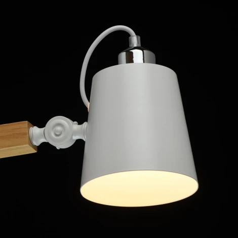 Потолочная люстра MW-Light Форест 693011203