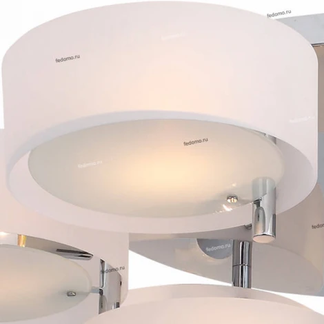 Потолочная люстра ST Luce Foresta SL483.502.09