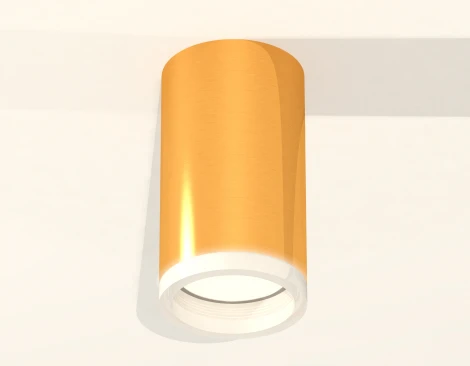 Накладной точечный светильник Ambrella Techno Spot XS6327020 (220V, круглые)