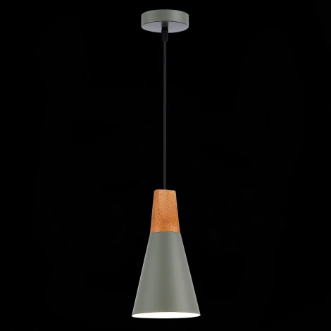 Подвесной светильник Evoluce Modica SLE125173-01