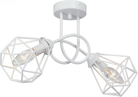 Потолочная люстра на штанге V4930-0/2PL Vitaluce (220V)