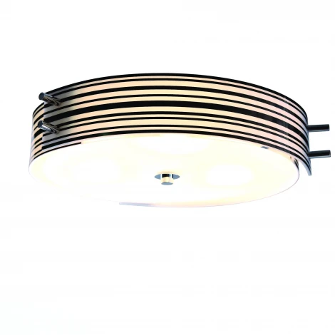Потолочный светильник ST Luce Hegia SL484.542.04