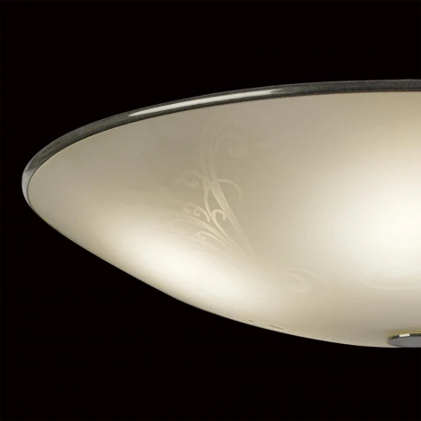 Потолочный светильник Citilux 911 CL911503