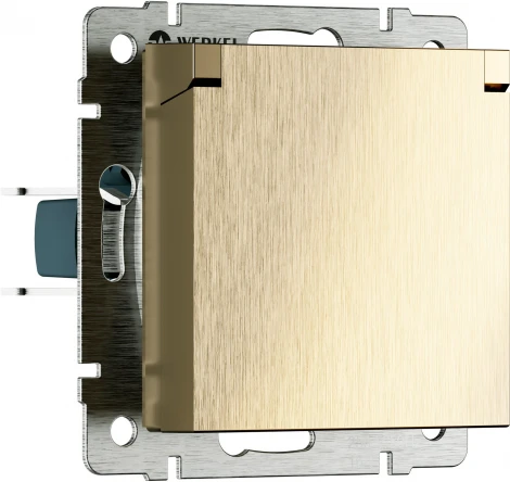 Розетка с заземлением с защит. крышкой и шторками (шампань рифленый) Werkel W1171210 (a069604)