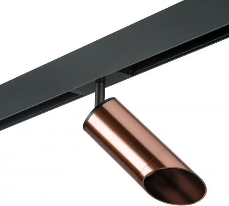 Трековый светильник однофазный 220V Lightstar Rullo PRO43030 (круглые)