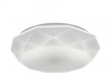 Светильник потолочный светодиодный диммируемый Ritter Brilliance 52209 6