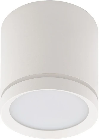 Накладной точечный светильник Denkirs DK4016 DK4013-WH (LED, 220V, круглые)