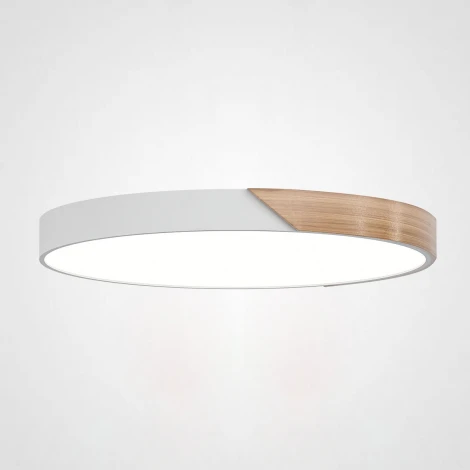 Потолочный светильник круглый Clip White D50 ImperiumLoft Clip01 (193049-26) (LED, 220V, круглые)