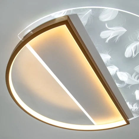 Потолочный светильник светодиодный с пультом с регулировкой цветовой температуры и яркости LED4U LED4U L1043-500 GD