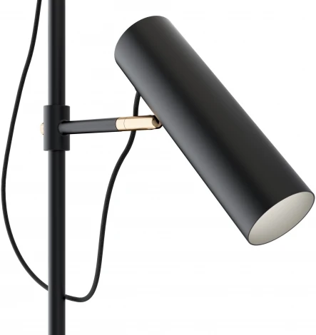 Торшер Maytoni Bansky MOD129FL-01B (220V, выключатель)