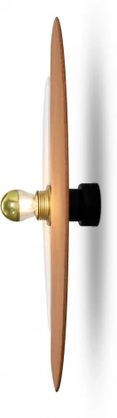 Настенный светильник Freya Carry FR5487WL-01G2 (220V)