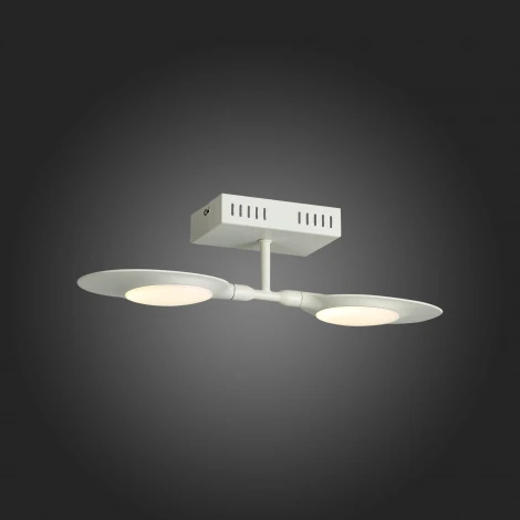 Настенно-потолочный светильник ST Luce Farfalo SL824.501.02