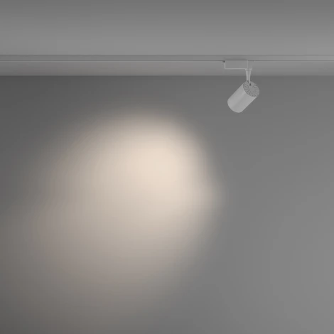 Трековый светильник Vuoro Unity 4000K 10Вт 36° LED (однофазный) Maytoni Technical TR003-1-10W4K-M-W (220V, круглые)