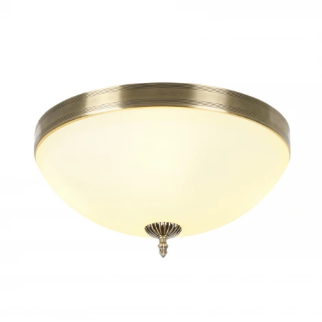 Потолочный светильник круглый MyFar Biene MR1528-4C (220V, круглые)