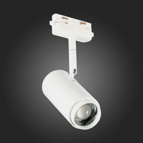 Трековый светильник ST Luce Zoom ST600.536.12 (LED, 220V, круглые)