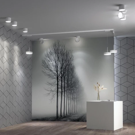 Накладной светильник светодиодный Over 358749 (220V, круглые)