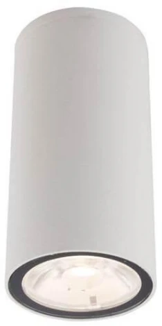 Потолочный светильник уличный Nowodvorski Edesa Led 9111 (220V)