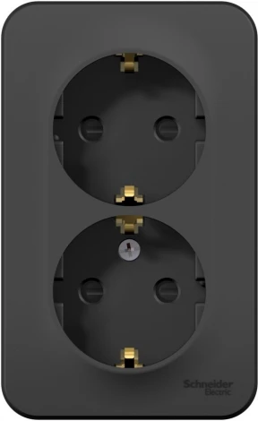 Розетка накладная двойная с заземлением и шторками (антрацит) Systeme Electric Blanca BLNRA011206