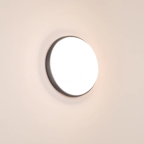 Потолочный светильник уличный Arlight GIRO 032425 (LED, 220V, круглые, IP54)