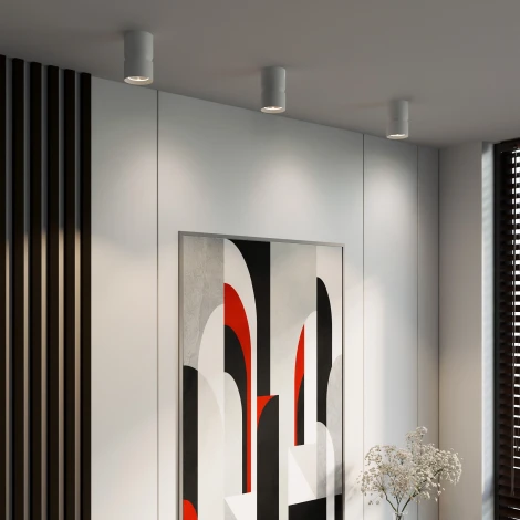 Светильник потолочный светодиодный Elektrostandard Kayo 12W 4000К белый 25049/LED (220V, круглые)