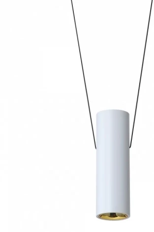 Подвесной светильник iLedex Oxygen ZD8213S-12W SWH (220V, на тросе, круглые)