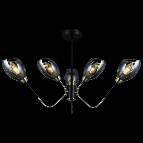 Потолочная люстра на штанге ILLUMICO IL9960-6CSQ-79 BK AB (220V)