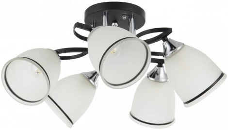 Потолочная люстра на штанге Arte Milano AMALFI-325885 325885/5A BK+CR (220V)