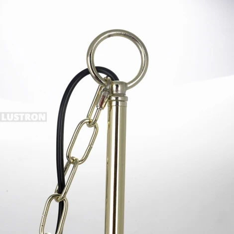 Подвесная люстра Lussole Loft Moultrie LSP-8203