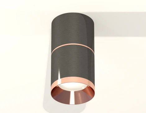 Накладной точечный светильник Ambrella Techno Spot XS7403101 (220V, круглые)