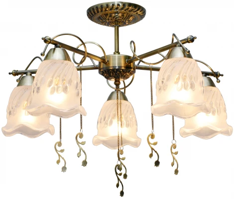 Потолочная люстра Toplight Delia TL1195X-05AB (220V, цветы)